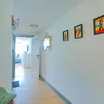 Im Einhornhaus Apartament *