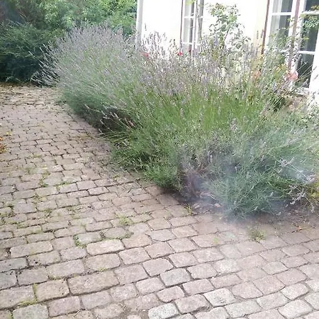 Appartement Im Einhornhaus