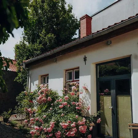 Im Einhornhaus *
